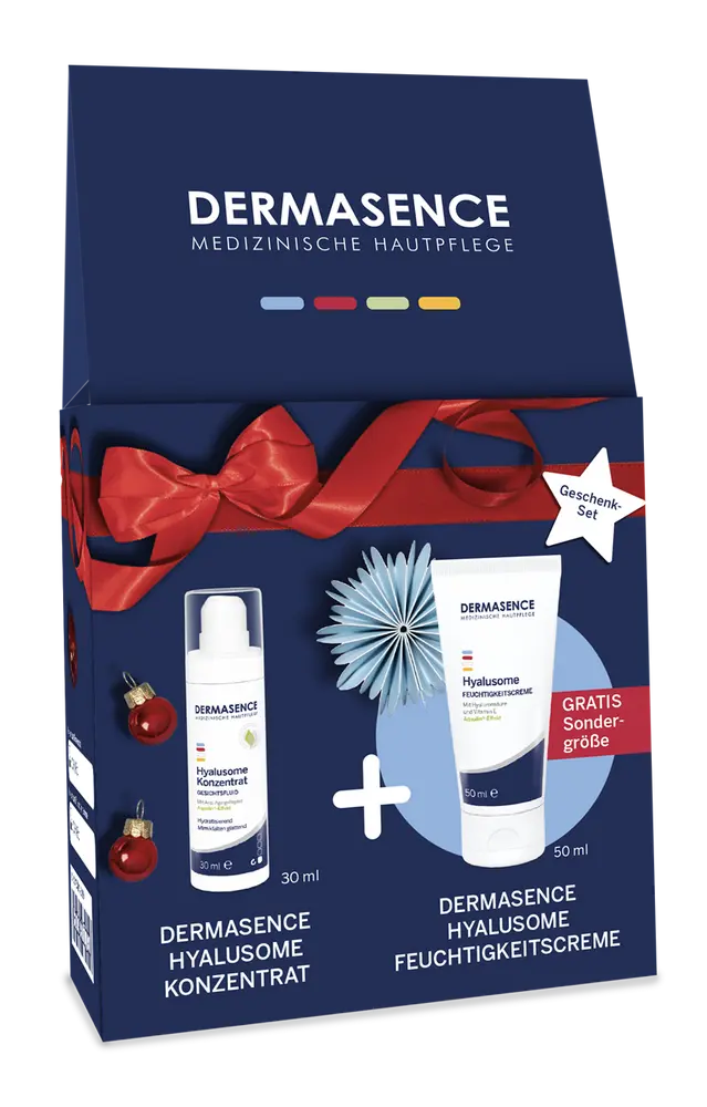 Weihnachtsverpackung für Dermascence Produkte