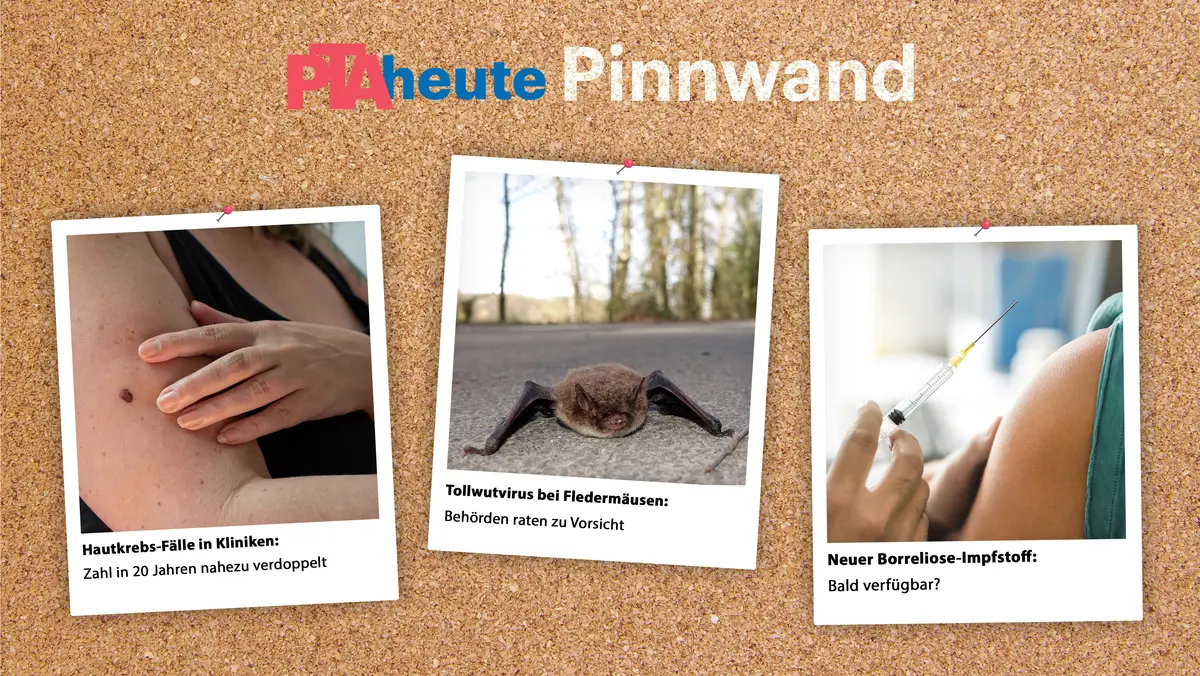PTAheute-Pinnwand KW 34/2026; Bildercollage