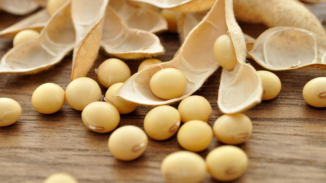 Local soybeans are on trend