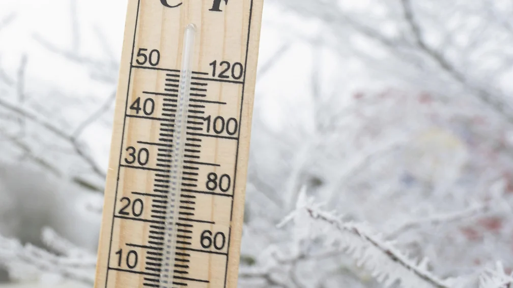 Thermometer, im Hintergrund schneebedeckte Bäume