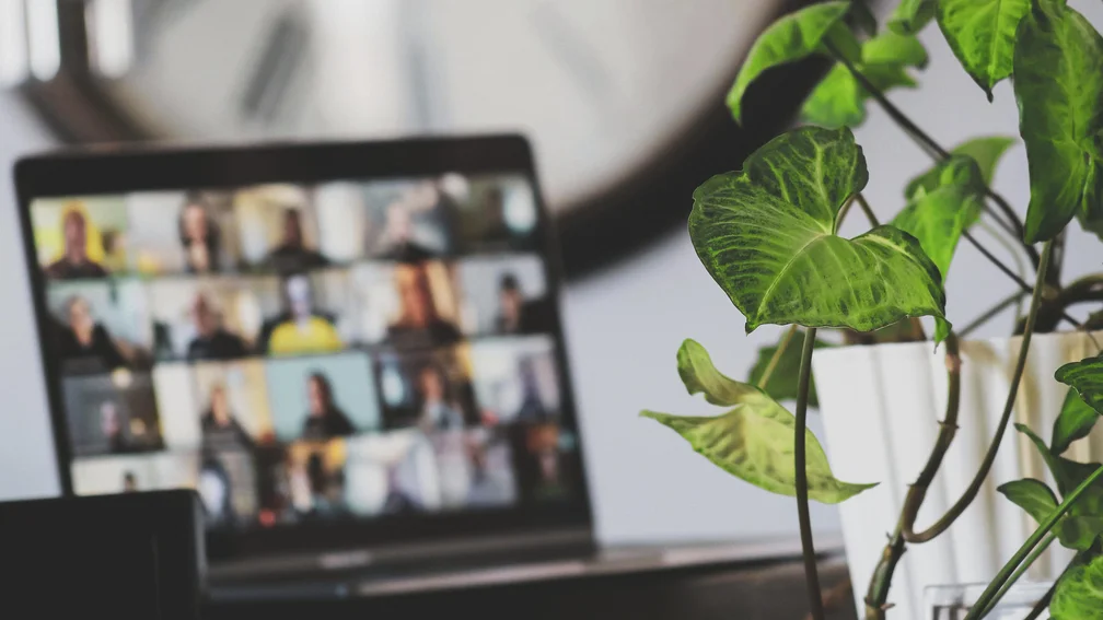 Zimmerpflanze und im Hintergrund ein Laptop mit einer laufenden Videokonferenz