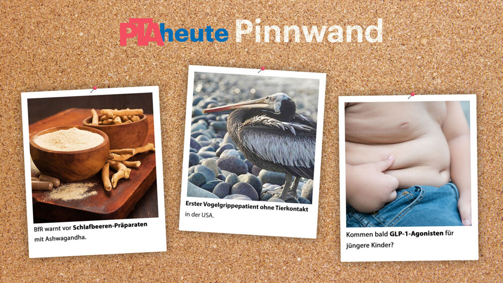 Pinnwand-Titelbild KW 37; Bildercollage
