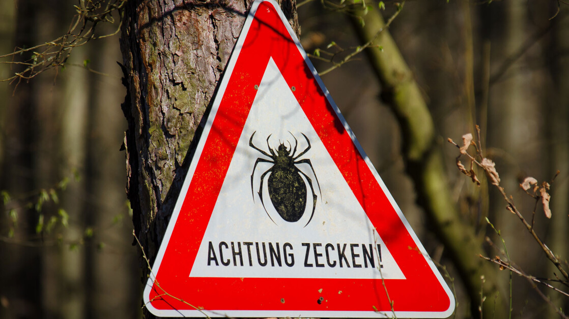Zu Welcher Tageszeit Sind Zecken Aktiv www.ptaheute.de