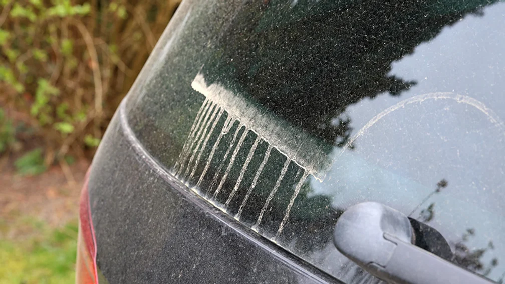 Saharastaub auf Heckscheibe eines Autos