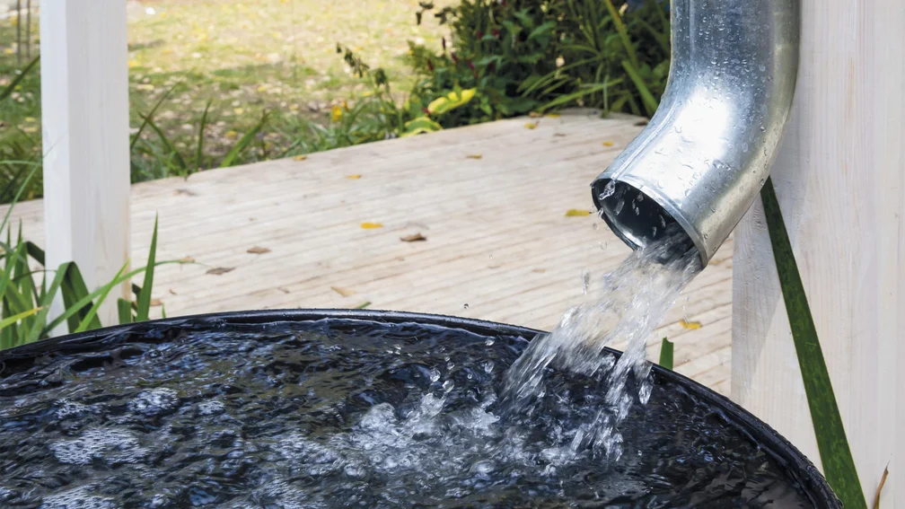 Wasser fließt aus Regenrohr in einen Auffangbehälter