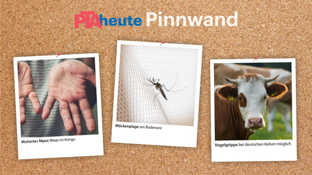 PTAheute-Pinnwand KW 26/2024