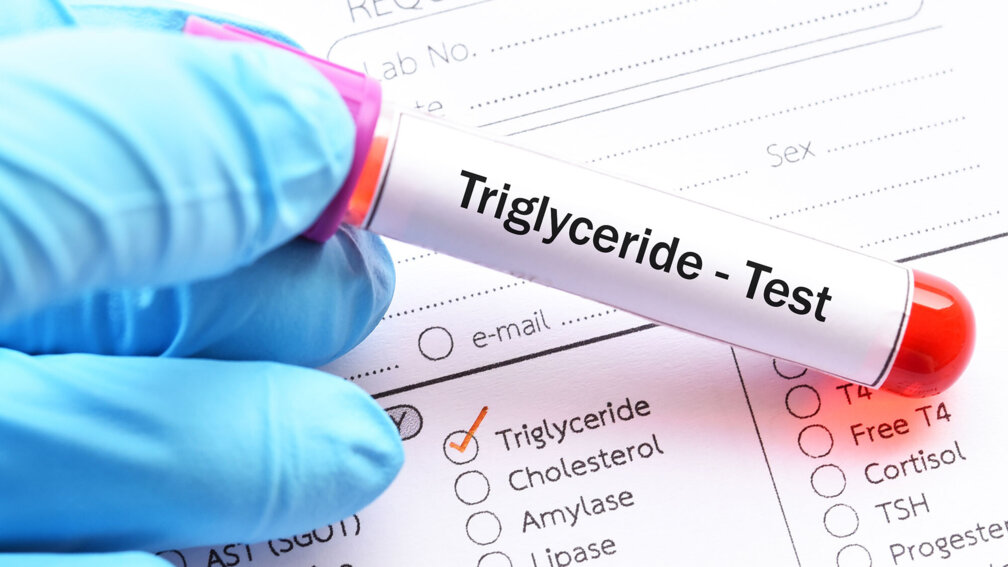 Blutröhrchen zum Test der Triglyceridwerte