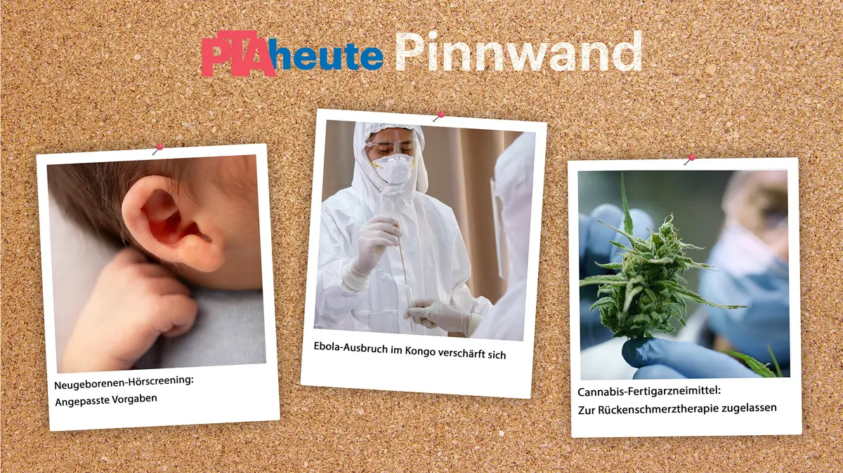 Pinnwand-Titelbild KW 26; Bildercollage