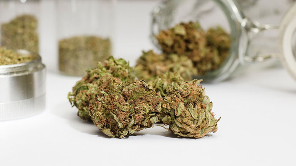 Blüten von Medizinalcannabis in Naaufnahme