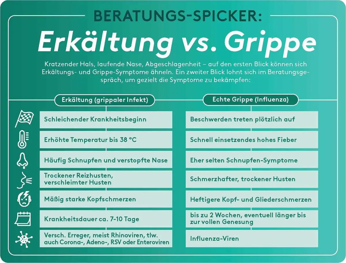 Grafik Beratungs-Spicker: Erkältung vs. Grippe