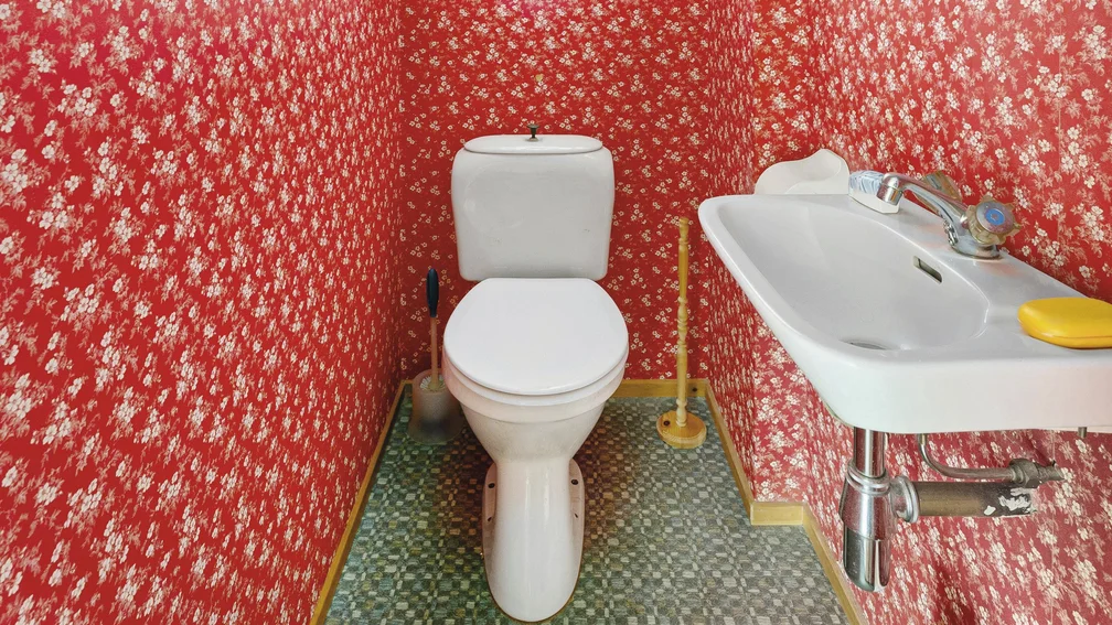 Toilette in einem Raum mit roter Blumen-Tapete
