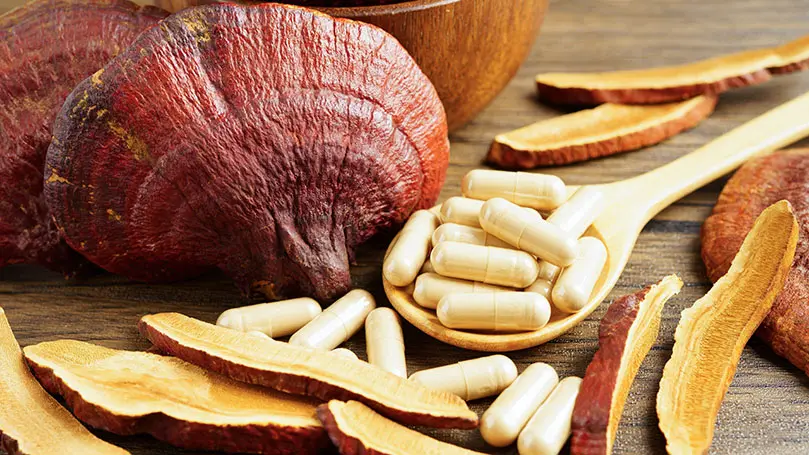 Reishi-Pilz neben Kapseln auf einem Holzlöffel
