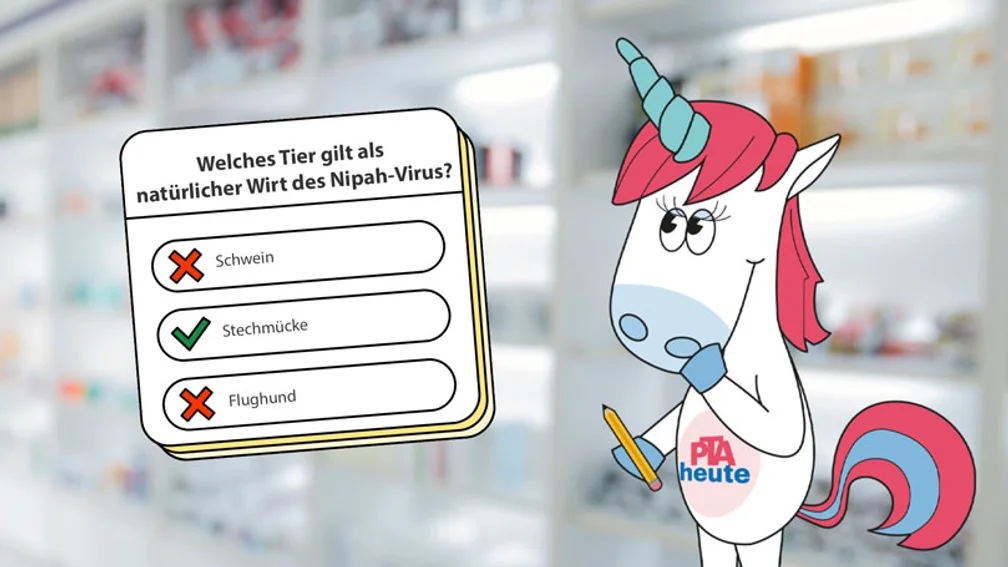 Zinchen neben einem Quiz