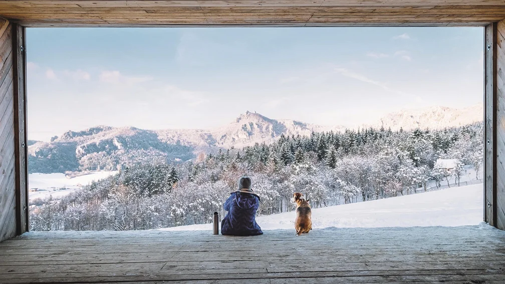 Person sitzt mit Hund auf einer Aussichtsplattform